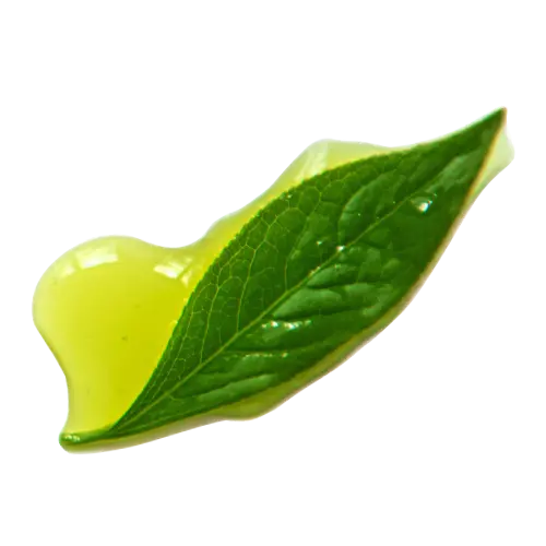 Niacinamide